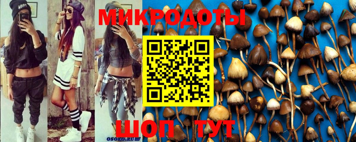 Галлюциногенные грибы Cubensis  Галлюциногенные грибы MAGIC MUSHROOMS  Вход с VPN  где купить наркотик  Кушва 
